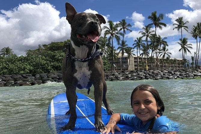 Surf with a Service Animal - Why surfing with Church changes the lesson