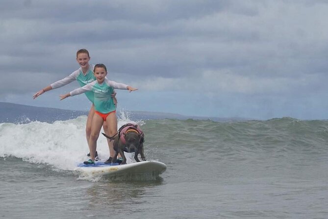 Surf with a Service Animal - Equipment, clothing, and practical comfort