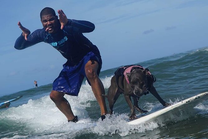 Surf with a Service Animal - Is $200 a fair price for 1 hour 45 minutes?