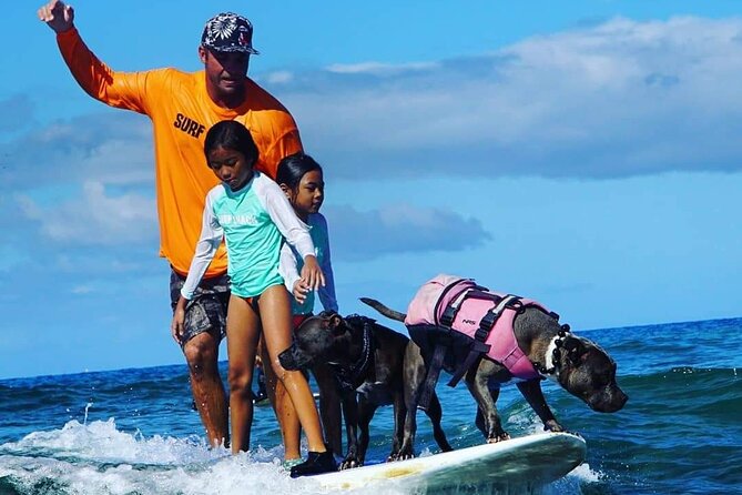 Surf with a Service Animal - The strongest part: personal attention and a relaxed mood