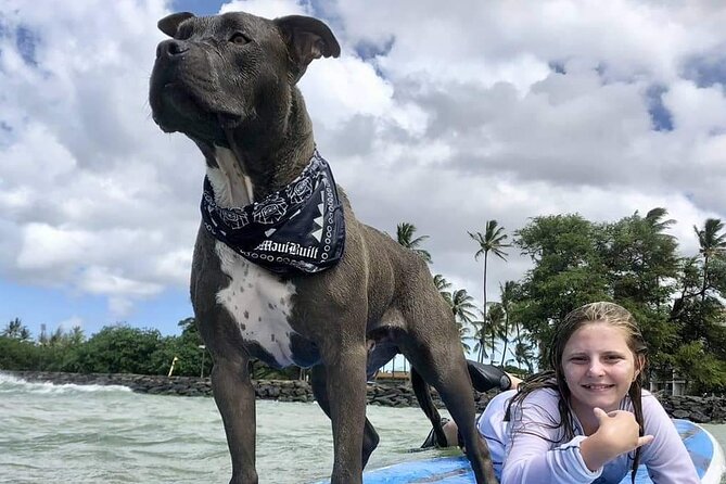 Surf with a Service Animal - From beach introductions to the first waves