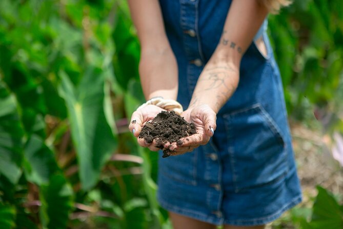 Taste of Hawaii: A Maui Farm Tour - Who will enjoy this experience most