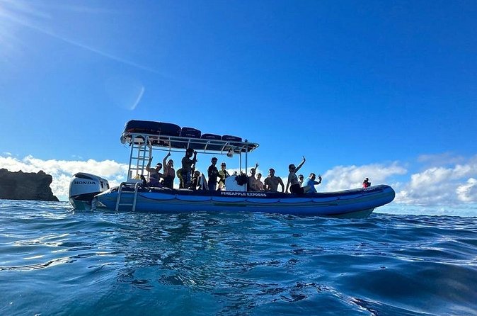 The Best 10 am 1.5 Hour Whale Watching Tour - Who Will Get the Most From This Tour