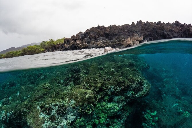 The Best 2.5 Hour Molokini Snorkel Tour & Whale Watch - A good fit for families, couples, and solo visitors