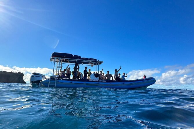 The Best 2.5 Hour Molokini Snorkel Tour & Whale Watch - What the crew adds to the outing