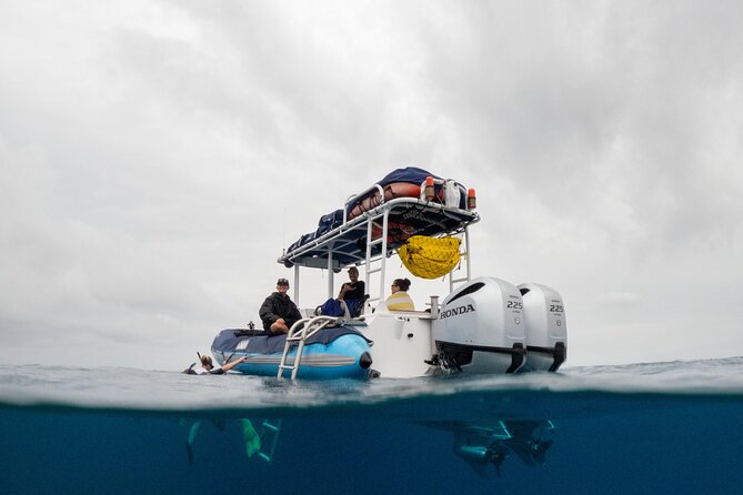 The Best 2 Hour Molokini Express Snorkeling - Key points at a glance