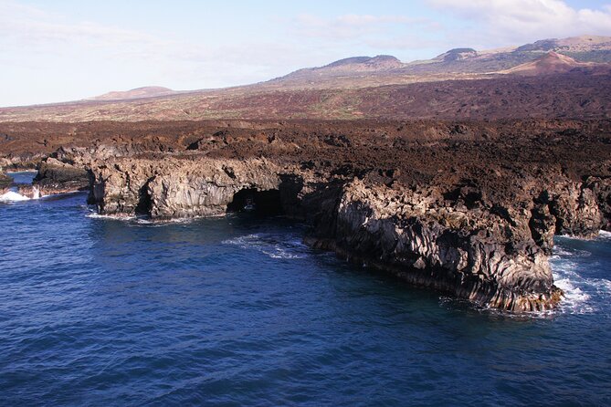 The Best 4 hour inclusive Kanaio Sea Caves and La Perouse Snorkel - The final turtle stop and lunch after the swim