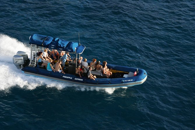 The Best 4 hour inclusive Kanaio Sea Caves and La Perouse Snorkel - A 7 a.m. start and a practical breakfast stop