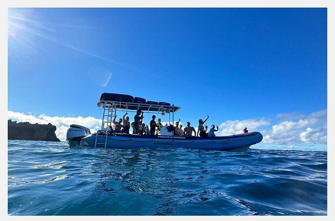 The Best 8 am 1.5 Hour Whale Watching Tour - How close can you get to the whales?