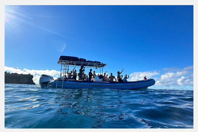 The Best 8 am 1.5 Hour Whale Watching Tour - Weather, cancellations, and booking timing