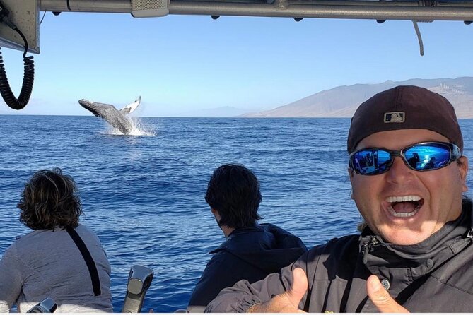 The Best 8 am 1.5 Hour Whale Watching Tour - What happens during the 90-minute ride