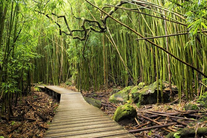 The best half day of your life! Luxury Road to Hana private tour - Why a private Road to Hana trip makes sense