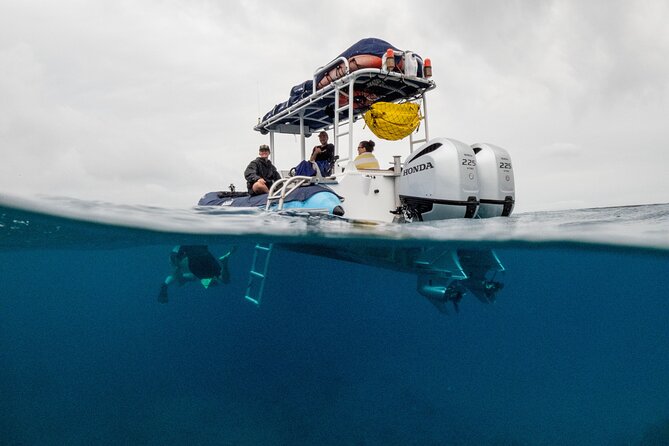 The Best Maui 3 Hour Molokini and Turtle Town Snorkel - Food, equipment, and practical comfort
