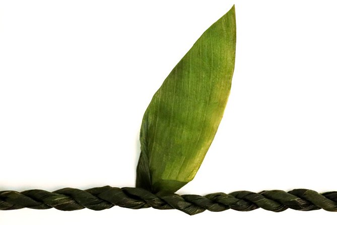 Ti Leaf Airport Lei Greeting (Maui, Kahului Airport, OGG) - Why the ti leaf lei matters