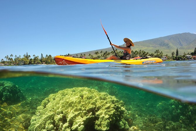 Turtle Reef Kayak Tour of Makena, Maui - Guides make the short tour work