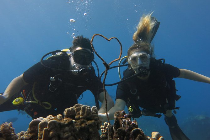 Turtle & Shark Scuba Dive in Lahaina: Certified - What this Lahaina shore session is really like