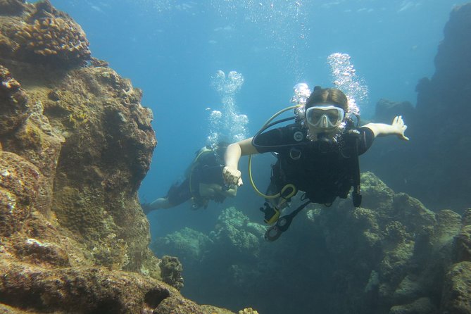 Turtle & Shark Scuba Dive in Lahaina: Certified - How experience level changes the day