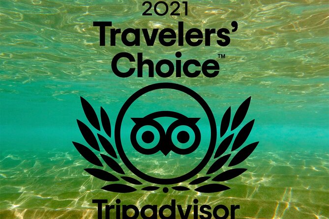 Turtle & Shark Scuba Dive in Lahaina: Certified - The 18-hour rule after your session