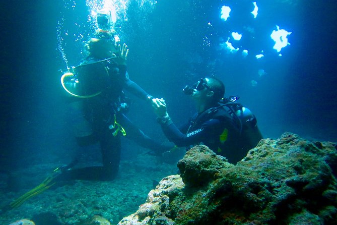 Turtle & Shark Scuba Dive in Lahaina: Certified - What you may see below the surface
