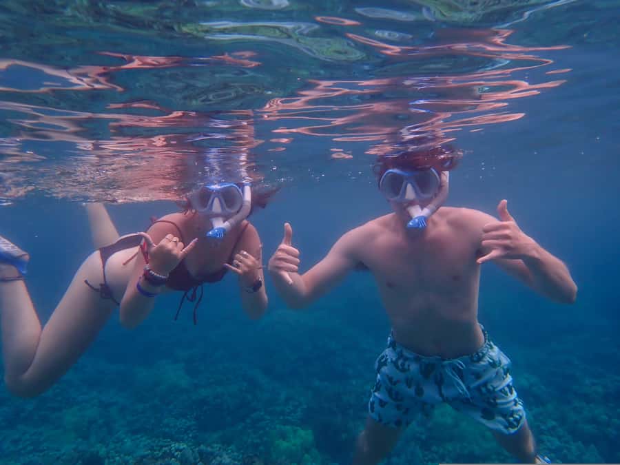 Turtle Town Clear Kayak & Snorkel Tour (8am-11am) - Guides who add more than directions
