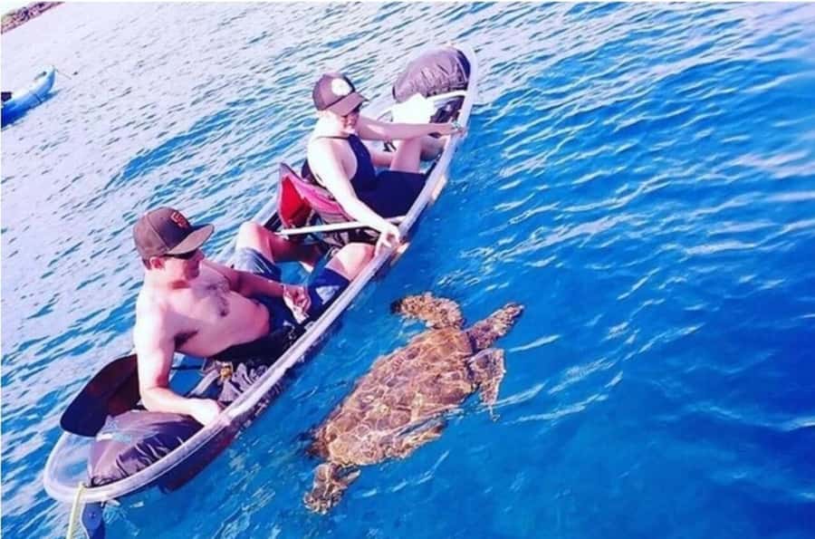 Turtle Town, Makena; Clear Bottom Kayak and Snorkel Tour - Simple preparation makes the morning better