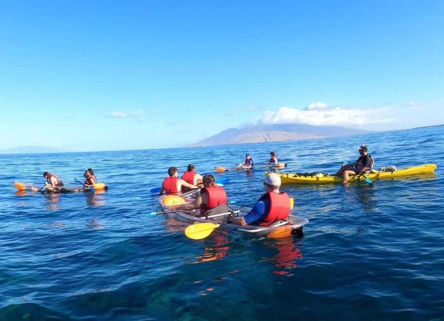 Turtle Town, Makena; Clear Bottom Kayak and Snorkel Tour - Starting early at Makena Landing Park