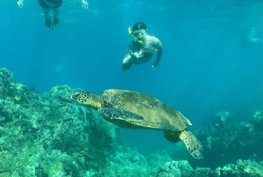 Turtle Town, Makena; Clear Bottom Kayak and Snorkel Tour - A safety briefing before the kayaks launch