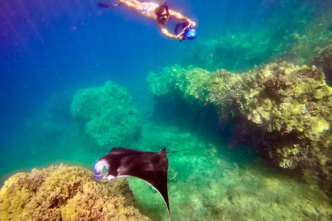 Turtle Town Underwater Scooter Snorkeling Tour with GoPro - A guided hour in the water
