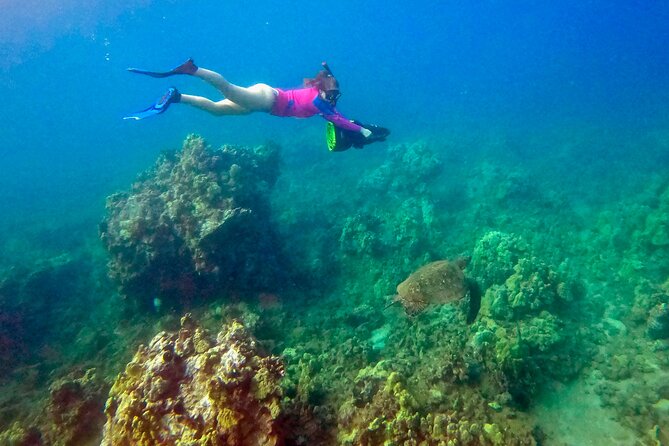 Turtle Town Underwater Scooter Snorkeling Tour with GoPro - Why four people is the right group size