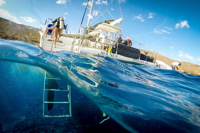 Turtles & Tacos Luxury Catamaran Snorkel - Whale watching during the right season