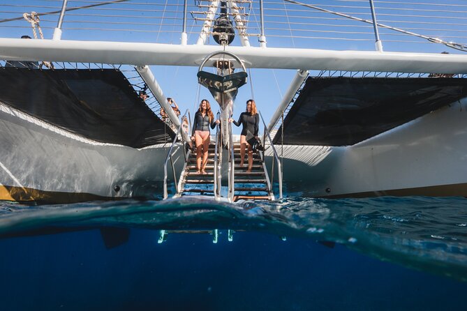 Turtles & Tacos Luxury Catamaran Snorkel - Small details that make the outing easier
