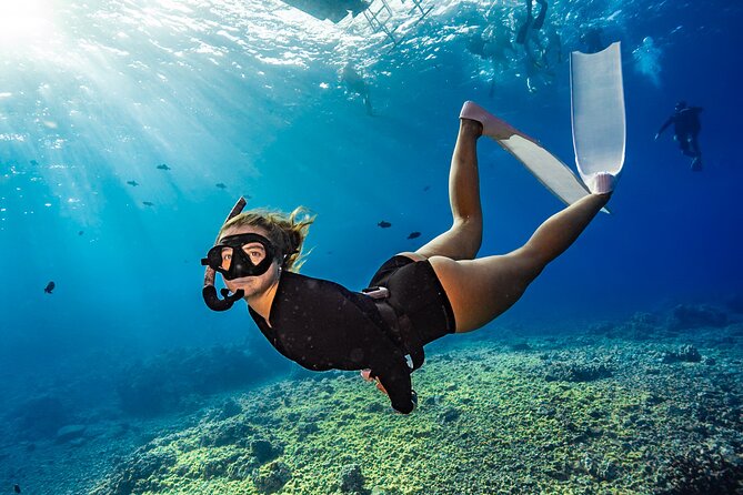 Two Site Snorkeling Adventure featuring the Molokini Crater - Key points to know before booking