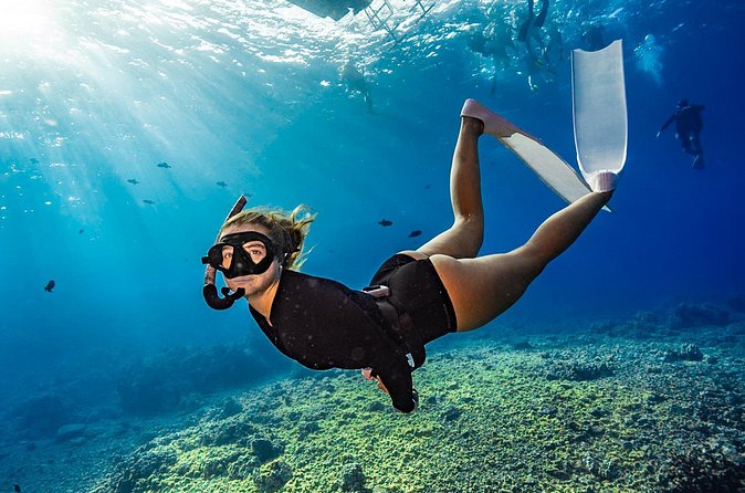 Two Site Snorkeling Adventure featuring the Molokini Crater - Who should book this Molokini trip?
