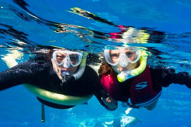 Two Stop Snorkel Adventure from Maui - Molokini Crater sets the tone