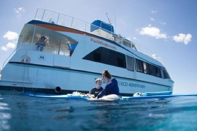 Two Stop Snorkel Adventure from Maui - One drink is included, with conditions