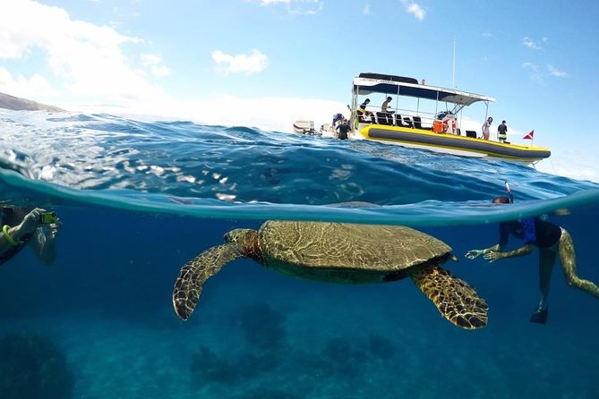 Ultimate 4 Hour Lanai Snorkel and Dolphin Encounter - Key things to know before booking