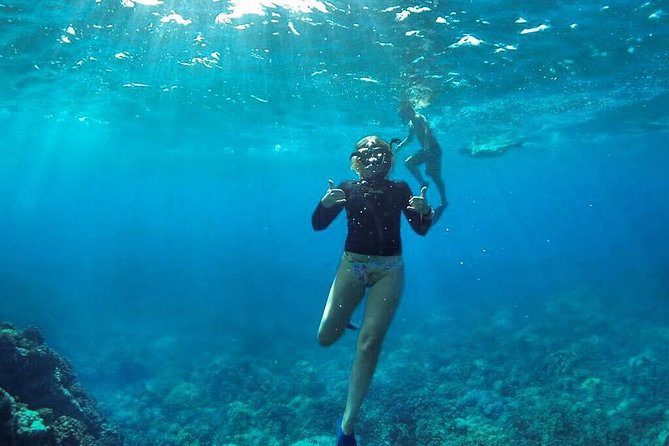 Ultimate 4 Hour Lanai Snorkel and Dolphin Encounter - Second stop: turtles, reef sharks, and colorful fish