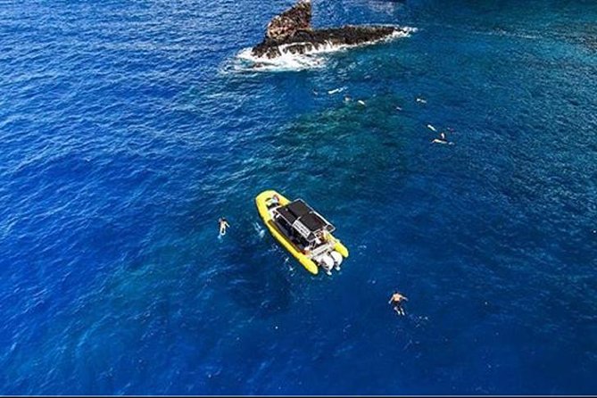 Ultimate 4 Hour Lanai Snorkel and Dolphin Encounter - A crew that pays attention to safety