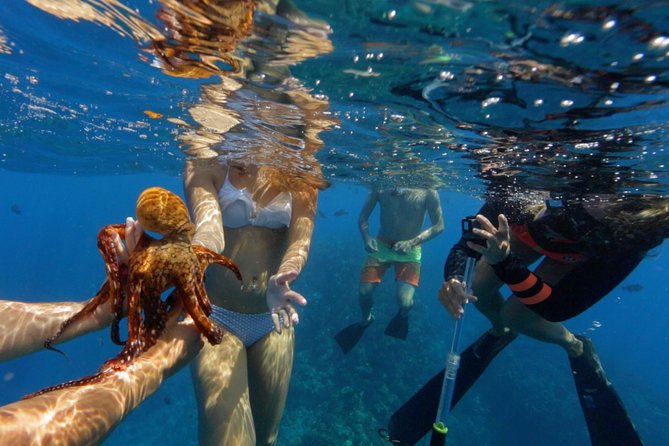 Ultimate 4 Hour Lanai Snorkel and Dolphin Encounter - Group size, comfort, and the small-boat tradeoff