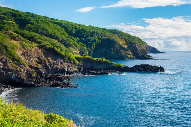 Ultimate Hana Full-Day Adventure Tour - Entering bamboo country and the waterfall trail