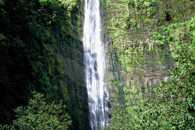 Ultimate Hana Full-Day Adventure Tour - Lunch, snacks, and the value of the $292.15 price