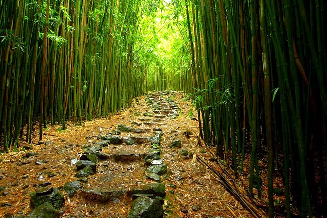Ultimate Hana Full-Day Adventure Tour - The 7:00 am start at Kahului Park and Ride