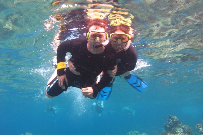 Ultimate Maui Kayak Snorkel Experience - Snorkeling near coral, fish, and Hawaiian green sea turtles