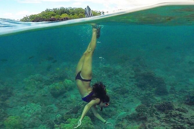 Ultimate Maui Kayak Snorkel Experience - Griff, Michelle, and Jamie as your ocean hosts