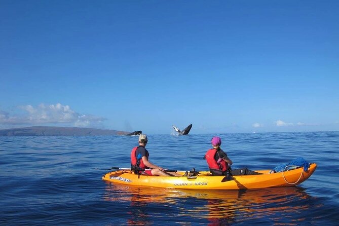 Ultimate Maui Whale Watch Snorkel Tour - Who Will Get the Most From This Outing