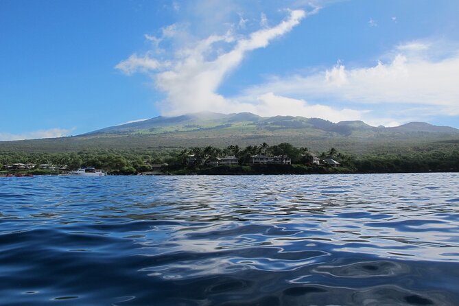 Ultimate Maui Whale Watch Snorkel Tour - Two Snorkel Stops Built Around Green Sea Turtles