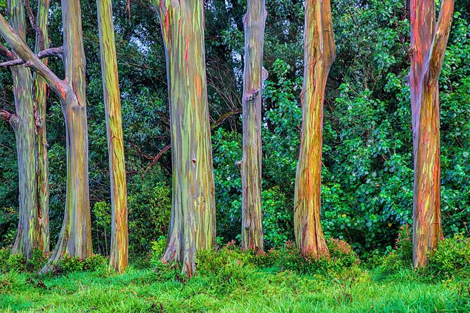 Ultimate Self-Driving Audio Tour of Road to Hana, Maui - Kahanu Garden and Maui’s black sand coast