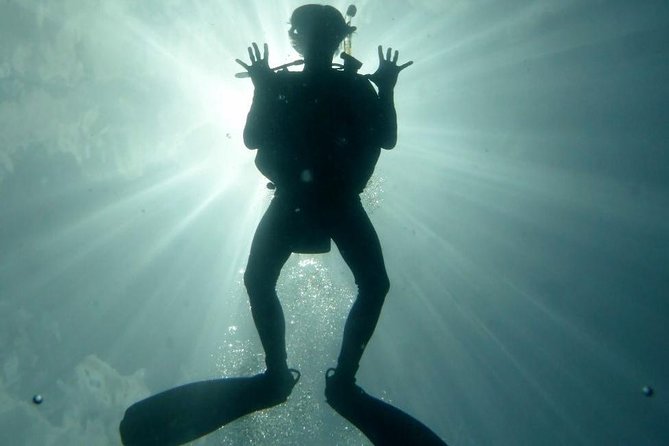 Underwater Scooter Dive (Certified Divers Only) Makena Wailea - Why the included photos matter