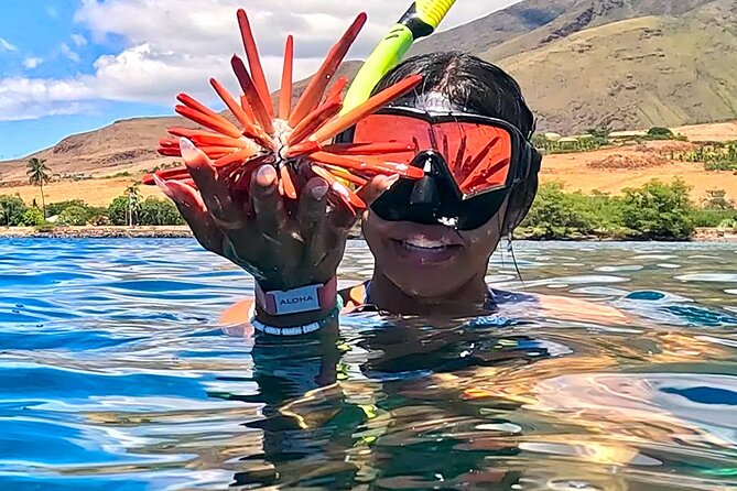 Unlimited Guided Snorkeling Tour for Beginners Plus - Why Olowalu works well for first-time snorkelers