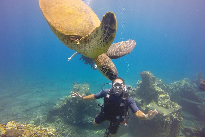 VIP Aloha Nui Snorkel Adventure w/ optional SCUBA from Lahaina - Is $235.93 a fair price?